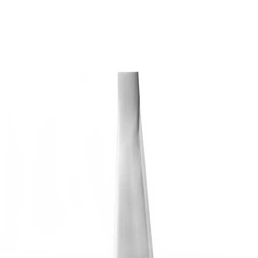 STALEKS EXPERT 10 TYPE 1 Professionelle breite gerade Augenbrauenpinzette – Bild 2